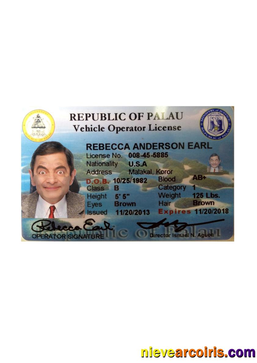 Palau driving license front side